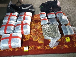 Заплењено око 40 килограма марихуане, ухапшене две особе