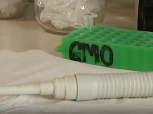 Министар пољопривреде: Нема ГМО у Србији, ни у производњи ни у промету