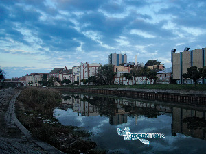 На веслу прича књижевника из Зрењанина: Банатски део света