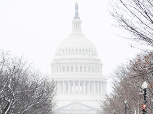 Демократски сенатори: Легализација марихуане међу приоритетима