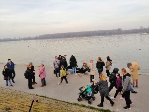 Кајакаш спасао жену на Земунском кеју у Београду