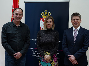 Медијска мрежа српске дијаспоре:  Стари путеви нови хоризонти