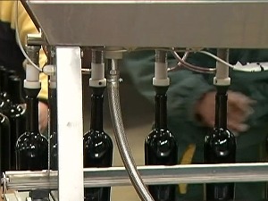 У топличком крају изумиру мали произвођачи вина, како преокренути такав суморан тренд