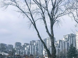 Шапић за РТС: Нови Београд с правом називају "српски Менхетн"