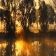 Ритам раног јутра
