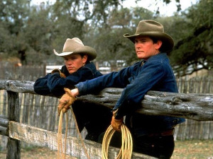 Сви ти дивни коњи