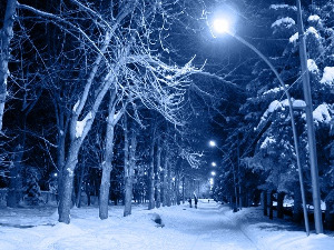 Ноћне променаде