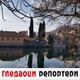 Гледаоци репортери (14. фебруар 2021)