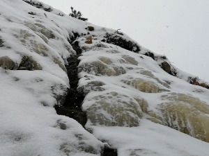 Ледено краљевство