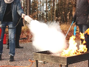 Било би лепо имати апарат за гашење пожара, али и сода бикарбона може да помогне