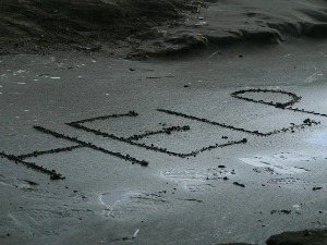 Робинзон Крусо са Новог Зеланда - повређеног сурфера спасио натпис у песку