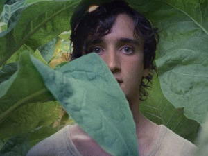 Срећан као Лазаро