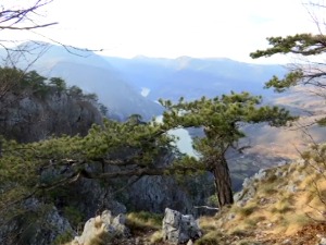 Тара, место на коме сви траже мир и свако проналази нешто за себе