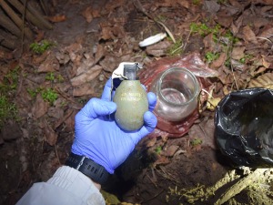 Суботица, ухапшен са бомбом, кокаином и службеном легитимацијом Синдиката запослених полиције