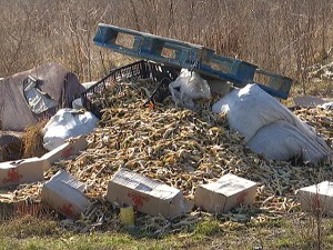 Поред кућа у Сурчину бачено 20 тона пилећих ногица – ко тајно прави дивље депоније