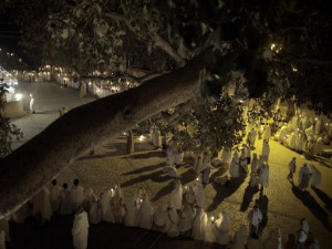 Приче о дрвећу: Свето дрвеће, 8-10