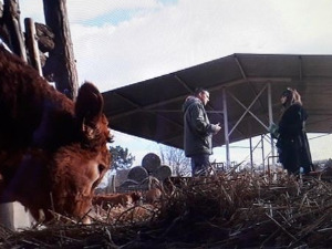 Знање-имање: Успех