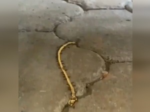 Пљачка века