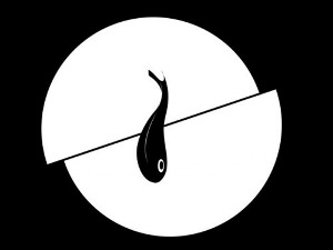 Студио 6 - Fish in Oil