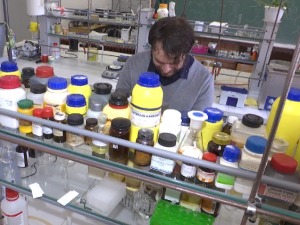 Професори из Ниша на листи најутицајнијих светских научника, шта то значи њима, а шта студентима