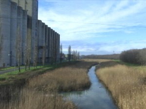 Велики бачки канал је црна еколошка тачка Врбаса - шта је потребно да се очисти