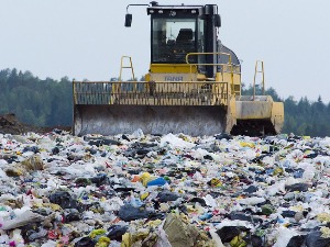 Петина произведене хране се баци, док стотине милиона гладује