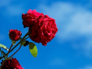 Данас је Дан жена – позив свима да дају допринос укидању неравноправности