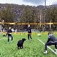 Техничар