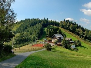 Стане Рибич и Јелена Ћирић