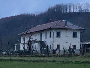 Toм Гаши припрема тужбу против Мартија, Дел Понте и Барајбара, тврди да су извештаји о "жутој кући" превара