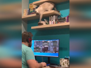 Књигу у шаке!