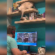 Књигу у шаке!