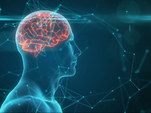 Више од човека: Будућност наших чула – Оркестар чула, 5-5