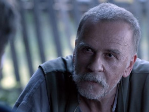 Калкански кругови