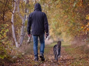 Ухапшен младић у Рашки, сумња се да је након расправе нахушкао свог пса да нападне мушкарца