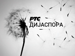 Медијска мрежа српске дијаспоре: Амерички сан