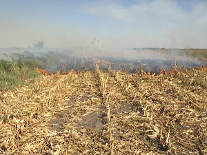 Проблем паљења стрњике, "Биосенс" има решење за спречавање пожара