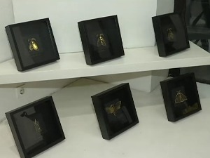 "Космички мољац" -  изложба минијатура инспирисаних природом осликаних на накиту