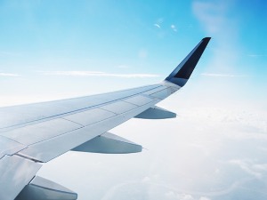 Немачка посланица умрла након колабирања у авиону