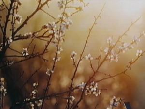 Светски дан метеорологије – какво нас пролеће очекује и колико су прецизне прогнозе времена