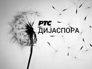 Медијска мрежа српске дијаспоре: Спона