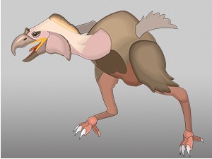 Највећа птица на свету имала је необично велики мозак, а најсличнији савремени рођак јој је - кокошка