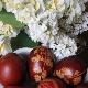 Светлост вере - Мост истока и запада