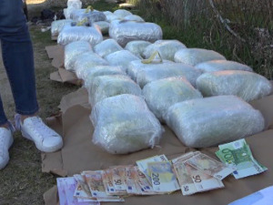 Наставак акције "Гнев", заплењено 50 килограма марихуане