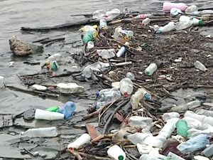 Зашто су неки Краљевчани Ибар прозвали "река Ђубретица"