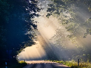 Пронађена девојчица из Крагујевца која је нестала 20. марта