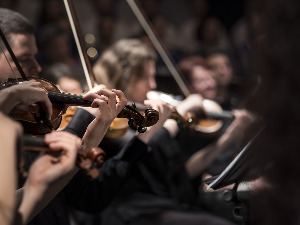 Нова дискографија