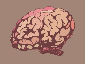 Зашто је три-де мозак бољи од оног из лабораторијске тегле