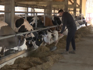 Одрастао је у Београду, али је асфалт заменио пољским путем – Марко је увек желео да буде ратар