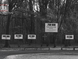 Sad ili nikad: Zahtev za Rezolucijom o ustaškom genocidu nad Srbima Sad ili nikad: Zahtev za Rezolucijom o ustaškom genocidu nad Srbima